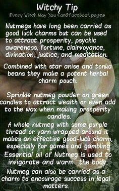 Nutmeg Witchcraft, Fear Spell, Herbal Grimoire, Herb Magick, Kitchen Witchcraft, Every Witch Way, Witch Board, Witchy Tips