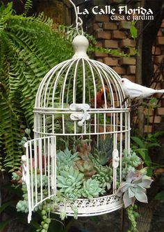 a white birdcage filled with succulents and plants