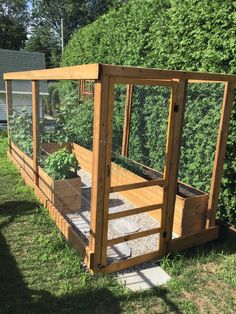 a wooden garden bed with plants growing in it