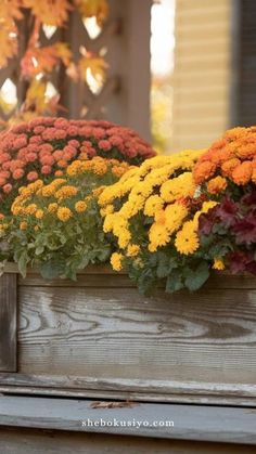 colorful flowers are in a wooden box on the porch with fall foliage around them and behind it is an old window sill