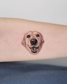 a dog's face is shown on the arm