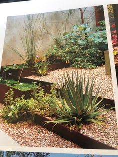 a garden filled with lots of plants next to a cement wall on top of gravel