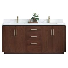 a bathroom vanity with two sinks and a potted plant on the counter top, against a white background