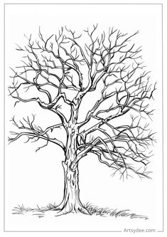 a black and white drawing of a tree with no leaves on the branches in winter