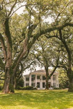 a white house surrounded by trees and grass