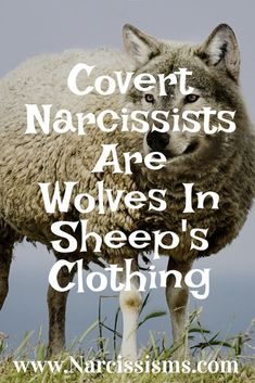 Narcissisms quote - Covert Narcissists Are Wolves In Sheep's Clothing. Covert Narcissism, Sheep Clothing, Playing The Victim, Unhealthy Relationships, Personal Relationship, Art Love