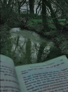 an open book sitting on top of a lush green field next to a river in the woods