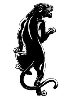 a black and white drawing of a panther on its hind legs with the tail extended