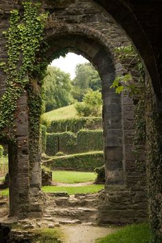 an archway with ivy growing on it in the middle of a park, surrounded by green grass