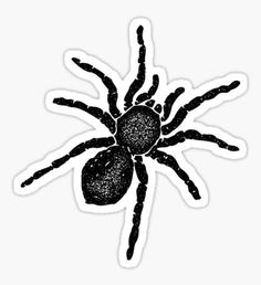 a black spider sticker on a white background