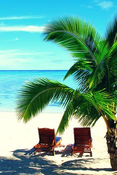 two lawn chairs under a palm tree on the beach