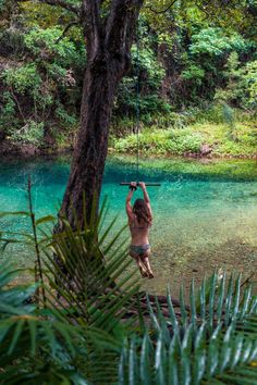 a man hanging from a tree in the middle of a river with blue water and trees around