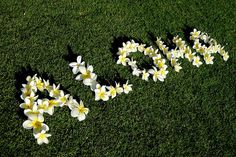 the word love spelled out with flowers on grass