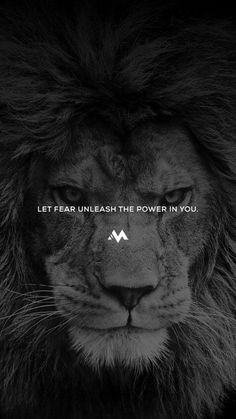 a lion's face with the words let fear unleash the power in you