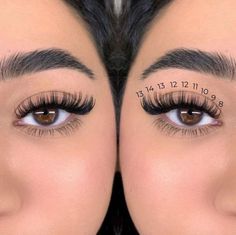 Lash Extentions Maps, Eyelash Extension Lengths, Lashes With Numbers, Cat Eye Mapping Eyelash Extensions, Lashes Extensions Cat Eye, Eyelash Extensions Mapping Styles, Hybrid Doll Eye Lash Extensions, Cat Eye Lash Map