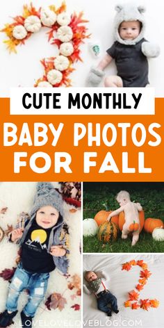 Fall monthly baby photos. October Monthly Milestone Picture, November 1 Month Baby Pictures, Baby November Photoshoot, 1 Month Fall Baby Pictures, November Baby Photo Ideas, Thanksgiving Infant Photoshoot, Fall Milestone Picture Ideas, September Baby Monthly Pictures, November Baby Pictures