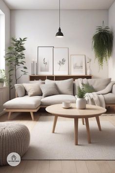 a living room filled with furniture and potted plants