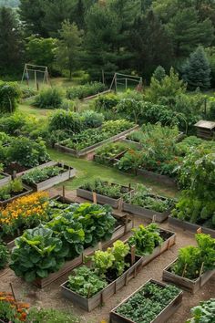 a garden with lots of different types of plants in the ground and on top of each other