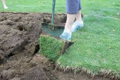 a person digging in the ground with a shovel