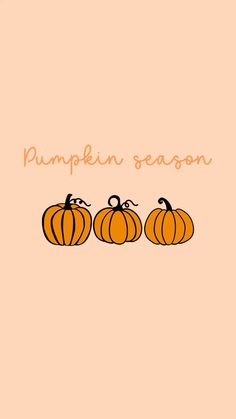 three pumpkins sitting next to each other on top of a pink background with the words pumpkin season