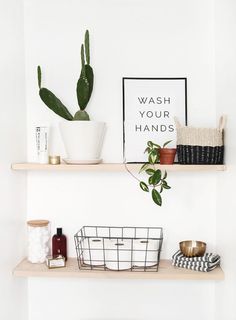 two shelves with plants and other items on them