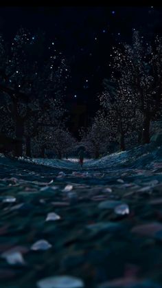 a person standing in the middle of a forest at night