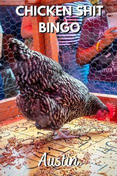 a chicken sitting on top of a wooden table