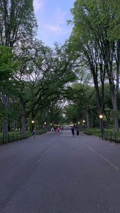 two people walking down the middle of a street in a park with trees lining both sides