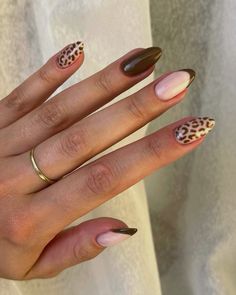 #nails #neonail #nude #brown #inspo #nailinspriation #almondnails #gelx #leopard #naildesign #frenchnails Short Fall Nail Designs, Short Fall Nail, Leopard Print Nail, Cheetah Print Nails, Multicolored Nails, Spring Acrylic Nails