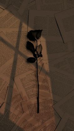 a single rose sitting on top of a pile of paper with the shadow of a book behind it