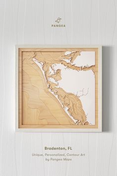 the wooden map is hanging on the wall