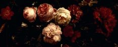 an image of flowers in the dark with red and white petals on it's stems