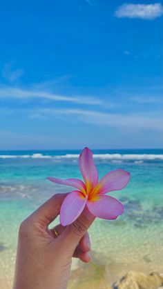 a person holding up a pink flower in front of the ocean