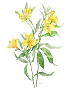 a painting of yellow flowers with green leaves