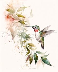 a watercolor painting of a hummingbird and flowers