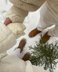 two people are standing in the snow with their feet up and one is holding a plant