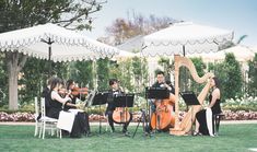 a group of people playing musical instruments under umbrellas in the grass near some trees