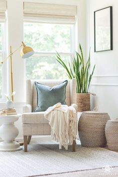 a living room filled with furniture and plants