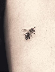 a black and white photo of a bee on the back of a woman's arm