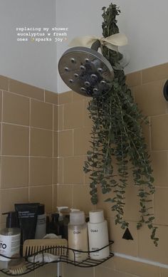 a shower head with plants hanging from it's side in a tiled bathroom area