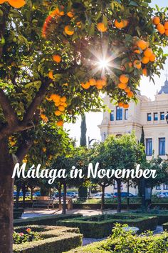 Malaga in november. Wat te doen in Malaga in november? Jazz Festival, In November, Malaga, Travel