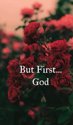 red roses with the words but first god