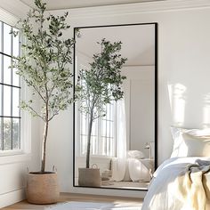 a bedroom with a tree in the mirror