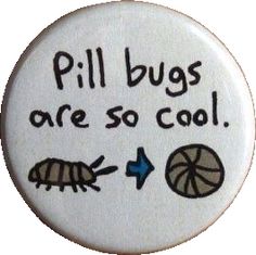 a button that says, pill bugs are so cool