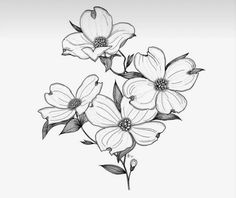 black and white drawing of three flowers