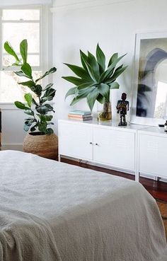 a bed room with a neatly made bed next to a window and a potted plant