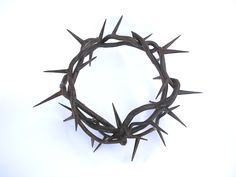 a crown of thorns is shown against a white background