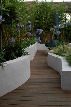 an outdoor garden with plants and flowers on the decking, along with a bench