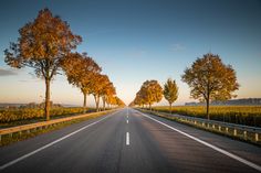 an empty road with trees lining both sides and the sun setting in the distance behind it