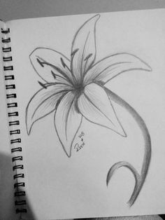 a pencil drawing of a flower on paper